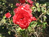 DaveLA > Summer 07/Other stuff >  IMG_0025