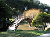 DaveLA > Huntington Gardens >  IMG_1523
